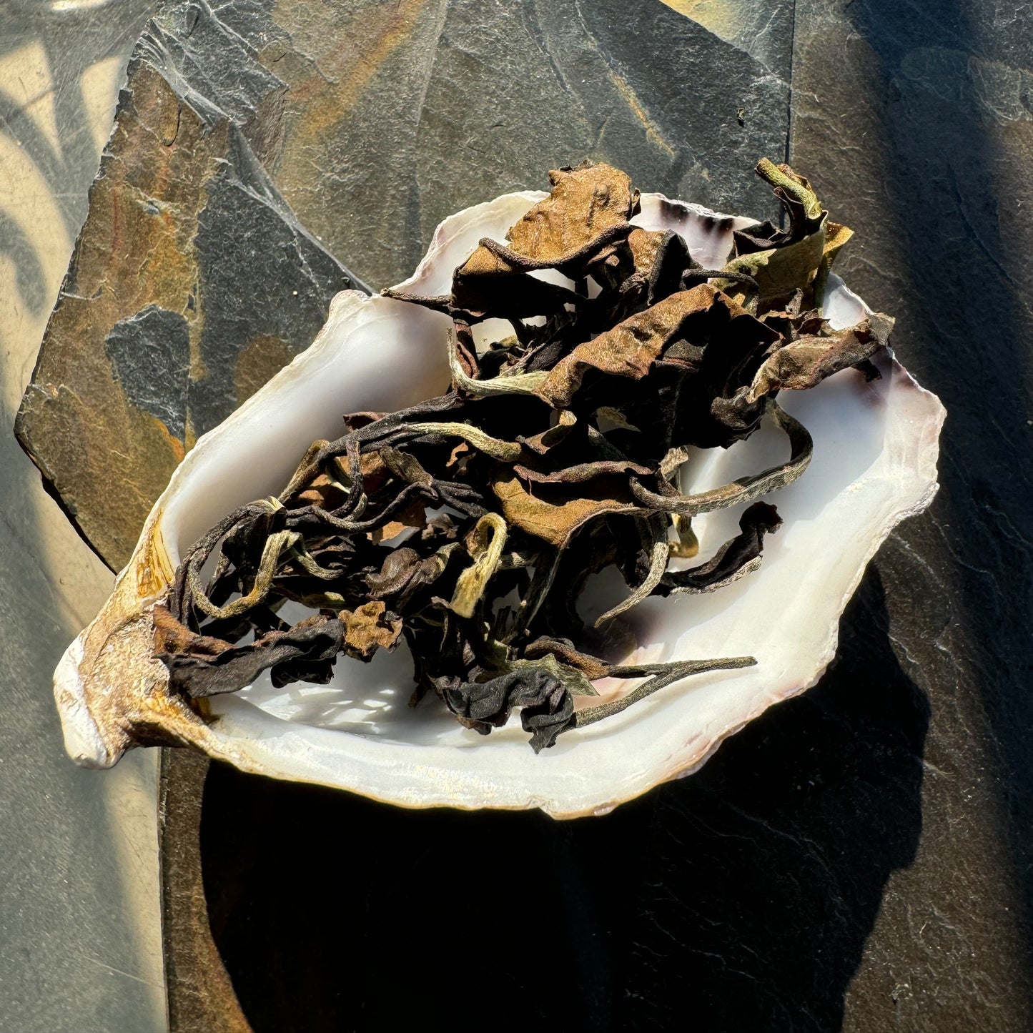 Taiwanese White Tea